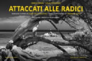 ATTACCATI ALLE RADICI. EDIZ. ITALIANA E