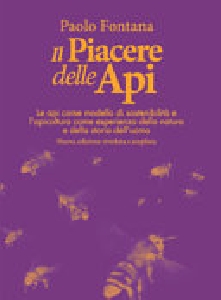 PIACERE DELLE API. LE API COME MODELLO D