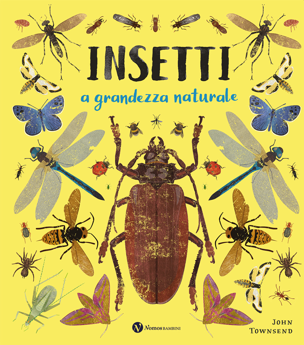 INSETTI. A GRANDEZZA NATURALE. EDIZ. A C